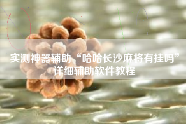 实测神器辅助“哈哈长沙麻将有挂吗”详细辅助软件教程