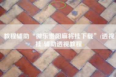 教程辅助“微乐贵阳麻将挂下载”(透视挂)辅助透视教程