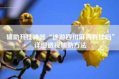 辅助开挂神器“途游四川麻将有挂吗”详细透视辅助方法