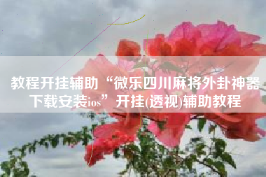 教程开挂辅助“微乐四川麻将外卦神器下载安装ios”开挂(透视)辅助教程 教程开挂辅助“微乐四川麻将外卦神器下载安装ios”开挂(透视)辅助教程