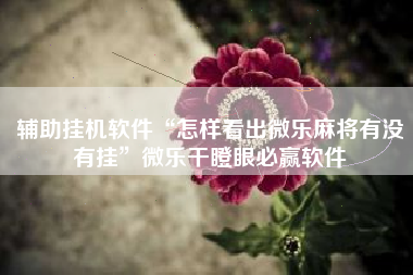 辅助挂机软件“怎样看出微乐麻将有没有挂”微乐干瞪眼必赢软件 辅助挂机软件“怎样看出微乐麻将有没有挂”微乐干瞪眼必赢软件