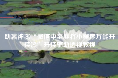 助赢神器“微信中至麻将小程序万能开挂器”开挂辅助透视教程