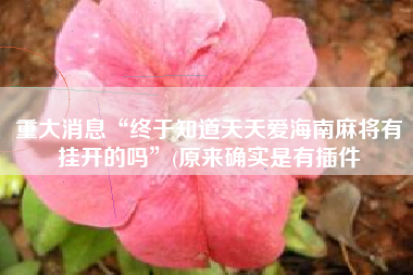 重大消息“终于知道天天爱海南麻将有挂开的吗”(原来确实是有插件