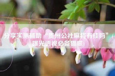 分享实测辅助“贵州公社麻将有挂吗”(曝光透视必备猫腻) 分享实测辅助“贵州公社麻将有挂吗”(曝光透视必备猫腻)