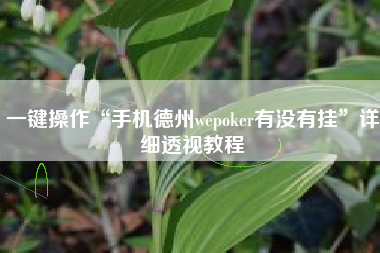 一键操作“手机德州wepoker有没有挂”详细透视教程
