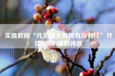 实操教程“凡乐湖北麻将有没有挂”开挂(透视)辅助神器