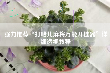 强力推荐“打哈儿麻将万能开挂器”详细透视教程 强力推荐“打哈儿麻将万能开挂器”详细透视教程