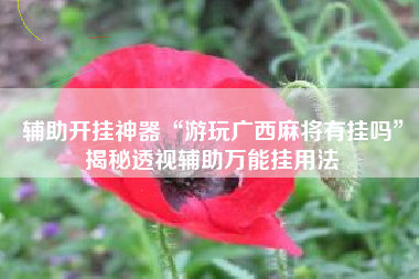 辅助开挂神器“游玩广西麻将有挂吗”揭秘透视辅助万能挂用法