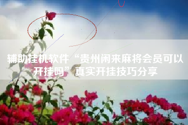 辅助挂机软件“贵州闲来麻将会员可以开挂吗”真实开挂技巧分享