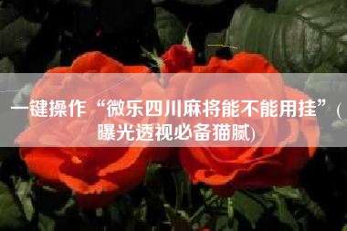 一键操作“微乐四川麻将能不能用挂”(曝光透视必备猫腻) 一键操作“微乐四川麻将能不能用挂”(曝光透视必备猫腻)