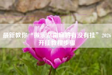 最新教你“微乐湖南麻将有没有挂”2026开挂教程步骤