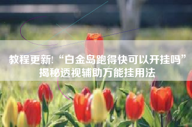 教程更新!“白金岛跑得快可以开挂吗”揭秘透视辅助万能挂用法