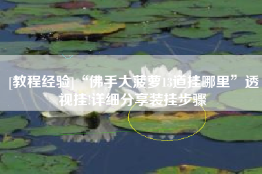 [教程经验]“佛手大菠萝13道挂哪里”透视挂!详细分享装挂步骤