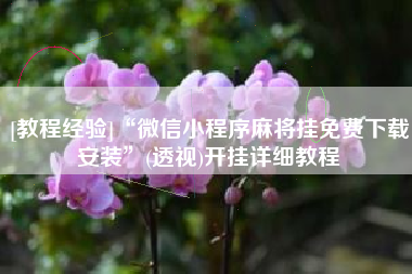 [教程经验]“微信小程序麻将挂免费下载安装”(透视)开挂详细教程