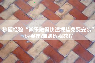 秒懂经验“微乐跑得快透视挂免费安装”(透视挂)辅助透视教程