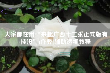 大家都在用“来趣广西十三张正式版有挂没”(作弊)辅助透视教程