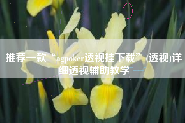 推荐一款“agpoker透视挂下载”(透视)详细透视辅助教学