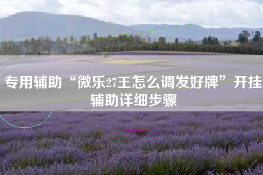 专用辅助“微乐27王怎么调发好牌”开挂辅助详细步骤 专用辅助“微乐27王怎么调发好牌”开挂辅助详细步骤