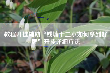 教程开挂辅助“钱塘十三水如何拿到好牌”开挂详细方法