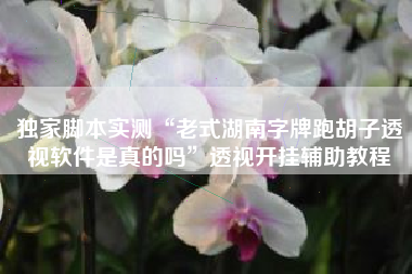 独家脚本实测“老式湖南字牌跑胡子透视软件是真的吗”透视开挂辅助教程