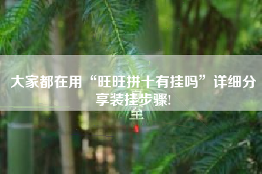 大家都在用“旺旺拼十有挂吗”详细分享装挂步骤!