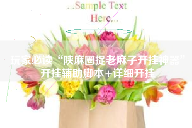 玩家必读“陕麻圈捉老麻子开挂神器”开挂辅助脚本+详细开挂