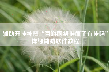辅助开挂神器“百游网络推筒子有挂吗”详细辅助软件教程