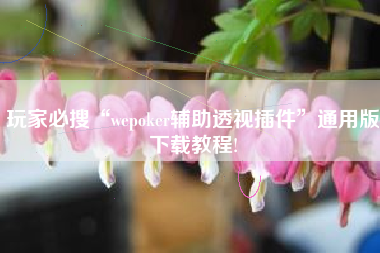 玩家必搜“wepoker辅助透视插件”通用版下载教程!