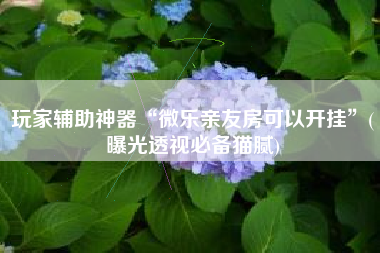 玩家辅助神器“微乐亲友房可以开挂”(曝光透视必备猫腻) 玩家辅助神器“微乐亲友房可以开挂”(曝光透视必备猫腻)