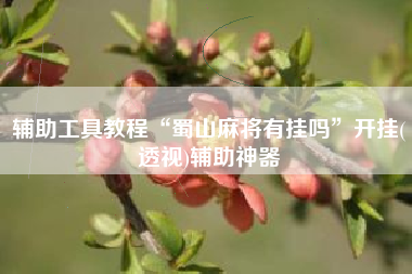 辅助工具教程“蜀山麻将有挂吗”开挂(透视)辅助神器