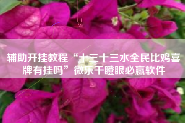 辅助开挂教程“十三十三水全民比鸡喜牌有挂吗”微乐干瞪眼必赢软件