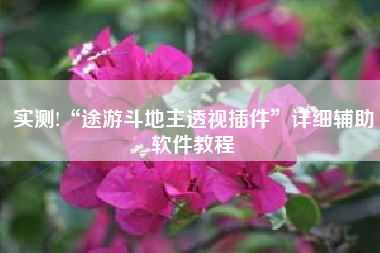 实测!“途游斗地主透视插件”详细辅助软件教程 实测!“途游斗地主透视插件”详细辅助软件教程