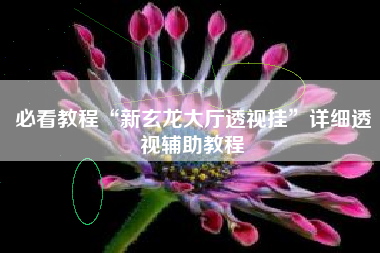 必看教程“新玄龙大厅透视挂”详细透视辅助教程