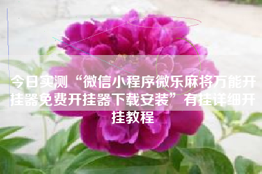 今日实测“微信小程序微乐麻将万能开挂器免费开挂器下载安装”有挂详细开挂教程