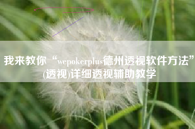 我来教你“wepokerplus德州透视软件方法”(透视)详细透视辅助教学 我来教你“wepokerplus德州透视软件方法”(透视)详细透视辅助教学