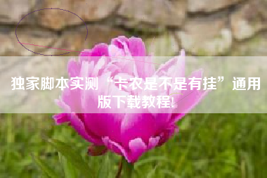 独家脚本实测“卡农是不是有挂”通用版下载教程! 独家脚本实测“卡农是不是有挂”通用版下载教程!