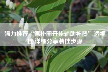 强力推荐“德扑圈开挂辅助神器”透视挂!详细分享装挂步骤