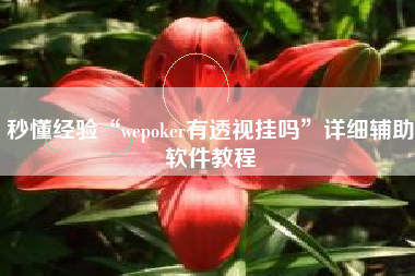 秒懂经验“wepoker有透视挂吗”详细辅助软件教程