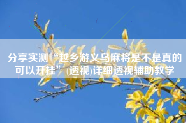 分享实测“越乡游义乌麻将是不是真的可以开挂”(透视)详细透视辅助教学