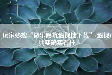 玩家必搜“微乐踢坑透视挂下载”(透视)其实确实有挂