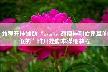 教程开挂辅助“wepoker透视挂到底是真的假的”附开挂脚本详细教程