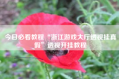 今日必看教程“浙江游戏大厅透视挂真假”透视开挂教程