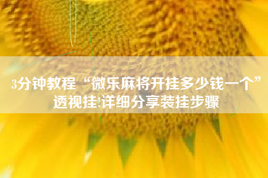 3分钟教程“微乐麻将开挂多少钱一个”透视挂!详细分享装挂步骤