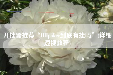 开挂器推荐“HHpoker到底有挂吗”(详细透视教程) 开挂器推荐“HHpoker到底有挂吗”(详细透视教程)