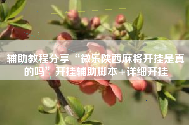 辅助教程分享“微乐陕西麻将开挂是真的吗”开挂辅助脚本+详细开挂