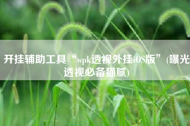 开挂辅助工具“wpk透视外挂iOS版”(曝光透视必备猫腻) 开挂辅助工具“wpk透视外挂iOS版”(曝光透视必备猫腻)