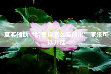 真实辅助“哈灵挂怎么看的出”原来可以开挂