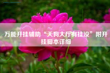 万能开挂辅助“天狗大厅有挂没”附开挂脚本详细 万能开挂辅助“天狗大厅有挂没”附开挂脚本详细