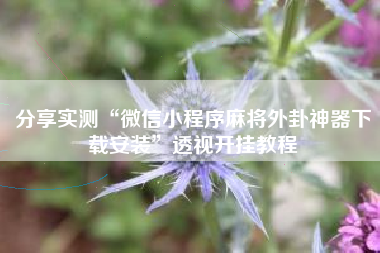 分享实测“微信小程序麻将外卦神器下载安装”透视开挂教程 分享实测“微信小程序麻将外卦神器下载安装”透视开挂教程