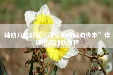 辅助开挂教程“微乐游戏辅助脚本”详细透视辅助教程 辅助开挂教程“微乐游戏辅助脚本”详细透视辅助教程